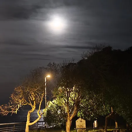 Rincon De Mar * 希洪