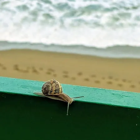 公寓 Rincon De Mar