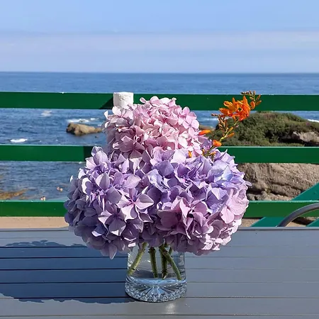 Rincon De Mar 公寓