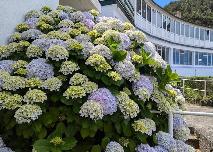 Appartement Rincon De Mar Gijón